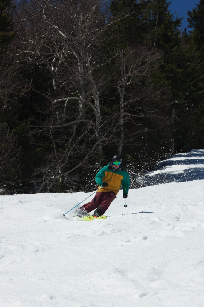 2018 FISCHER PRO MTN 95 TI SKIS