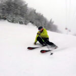 2019 Nordica Enforcer 93 Skis 3