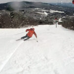 2019 Nordica Enforcer 110 Skis 3