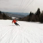 2019 Nordica Enforcer 110 Skis 6