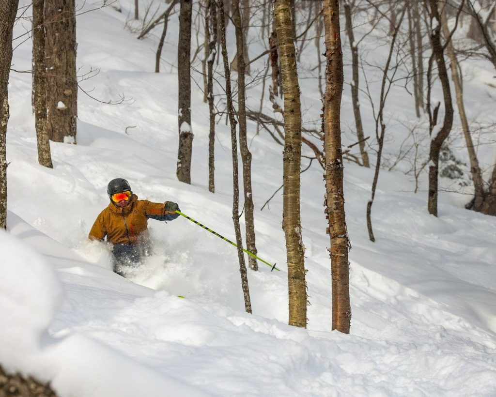 2023 SCOTT PURE PISTE 77