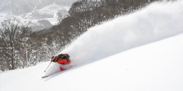 Top Five Fridays May 29, 2020: Japan Powder Skiing Image