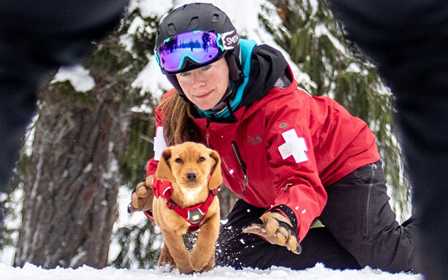 Top Five Fridays June 26, 2020: Steven's Pass Ski Patrol Image