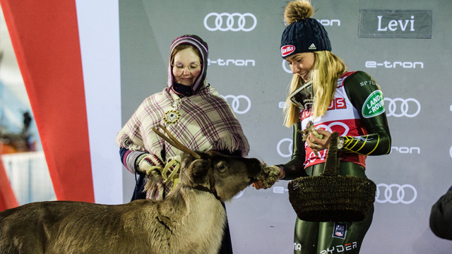 Top Five Fridays November 20, 2020: Levi, Finland Reindeer Image
