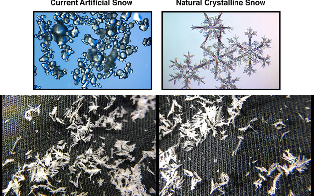 Top Five Fridays November 27, 2020: Microscopic Snow Image