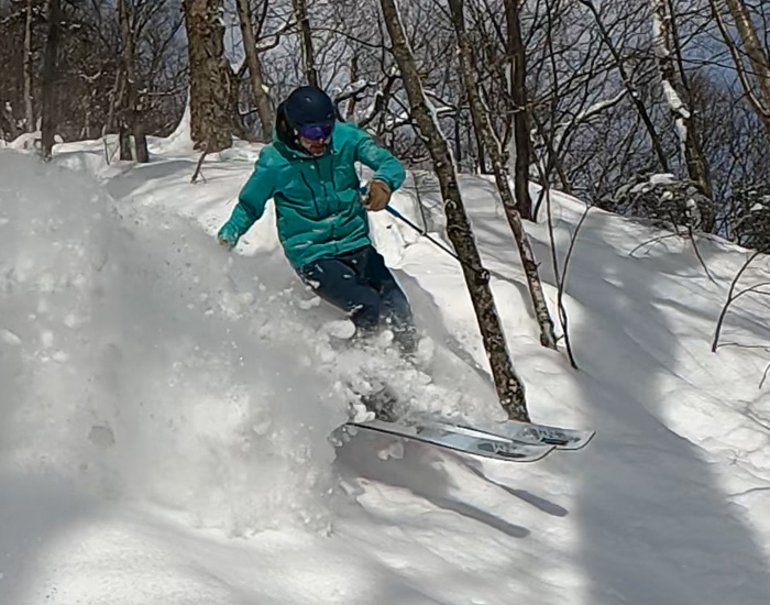 2022 Salomon QST Blank Ski Review: Half Width Action Image 2