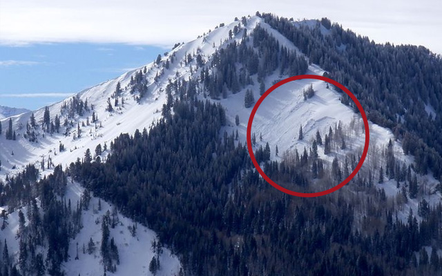 Top Five Fridays February 12, 2021: Milcreek Avalanche Image