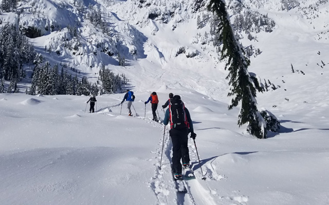 Top Five Fridays March 12, 2021: Pro Guiding Service Tour Image