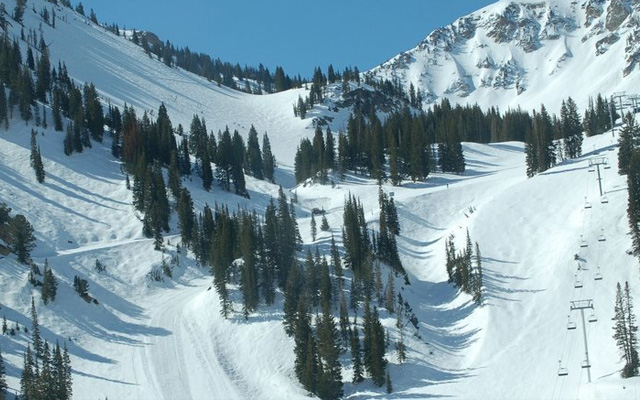 Top Five Fridays April 16, 2021: Alta Trail Modifying Image