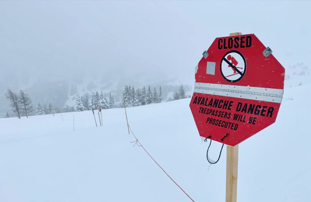 Top Five Fridays December 3, 2021: Banff Sunshine Village Avalanche Sign Image