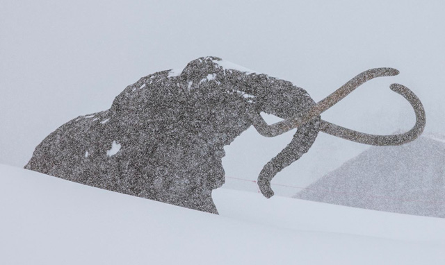 Top Five Fridays March 3, 2023: Mammoth Statute Snowstorm Image